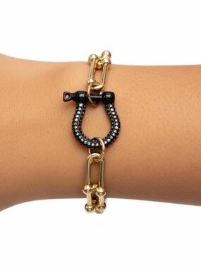 18k Gold PVD U-link Bracelet with Black Pave Horseshoe Charm - WATERPROOF